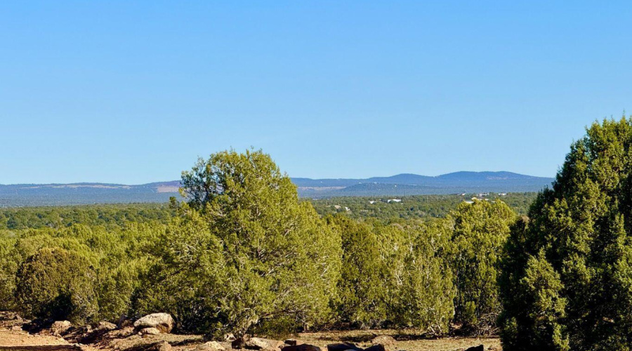 20251116080529590435000000-o