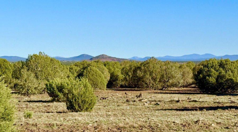 20251116075300559489000000-o