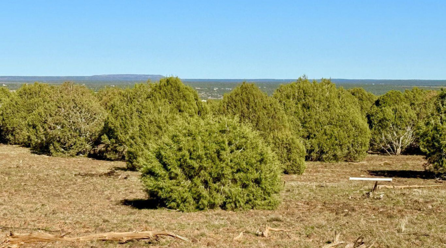 20251116075413213315000000-o