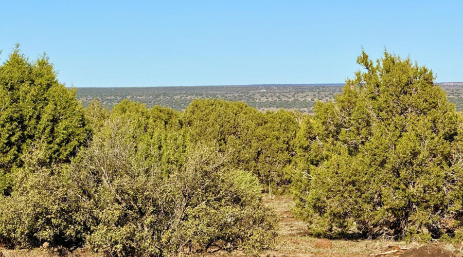 20251116080022999740000000-o