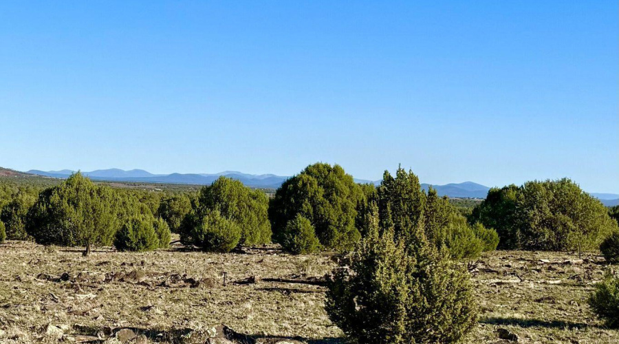 20251116072636455300000000-o