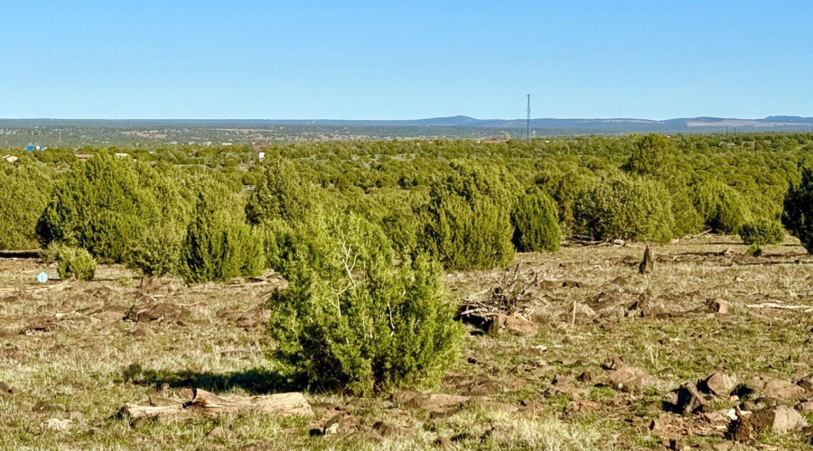 20251116072956385215000000-o