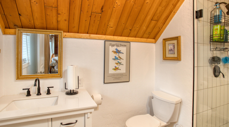 Paxmanphoto_PAX_8120