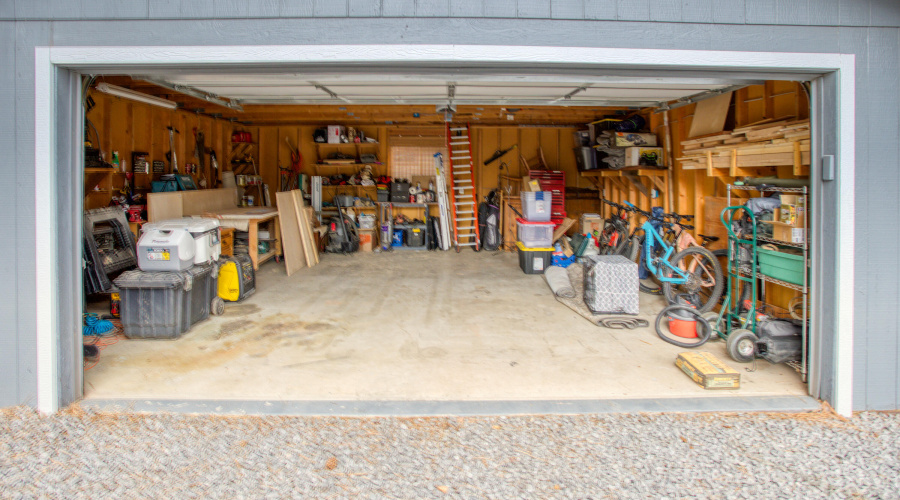 Paxmanphoto_PAX_8192