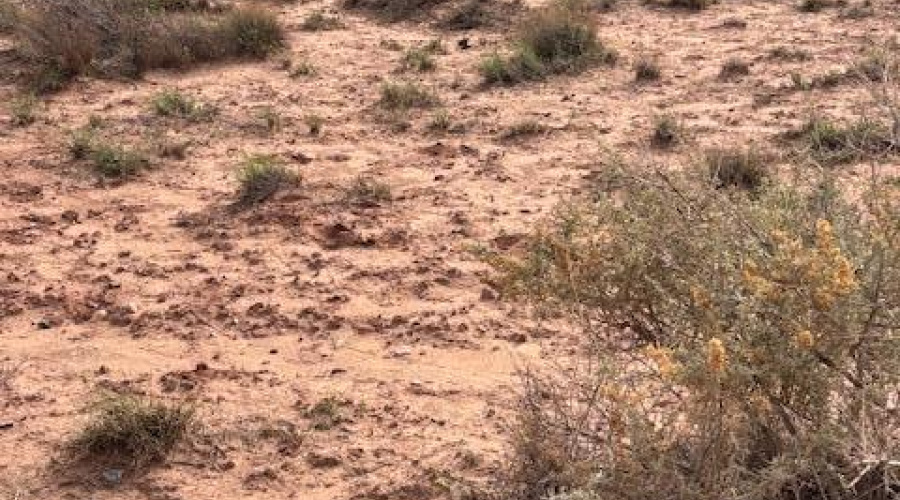 Mtn view in back of property