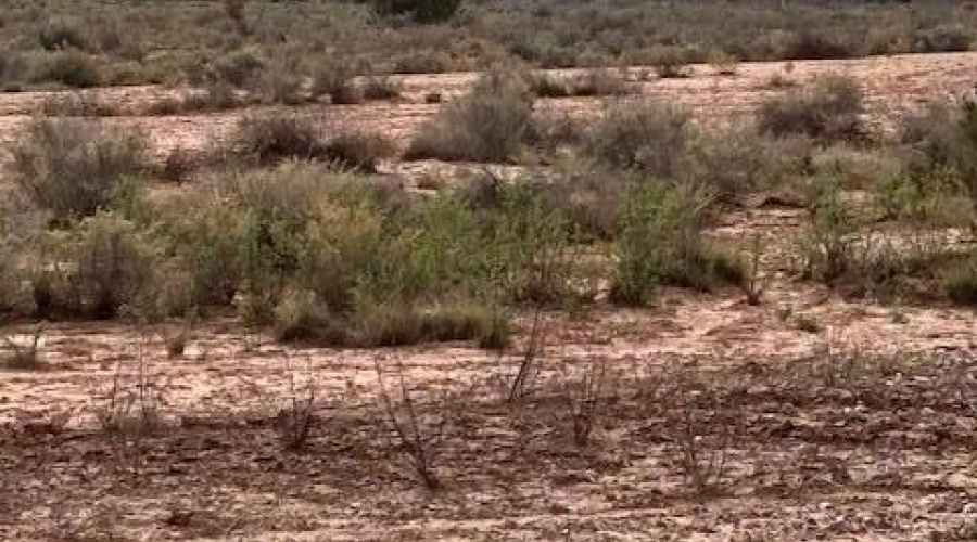 view opposite boundary