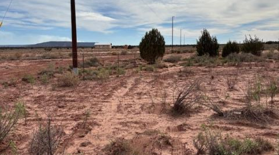 electric poles by neighbors
