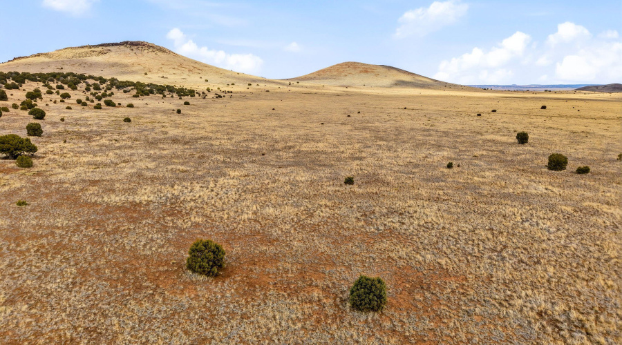 CheneyLake-GreerAZ-14