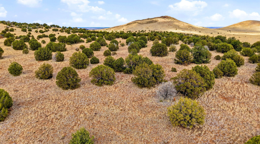 CheneyLake-GreerAZ-15