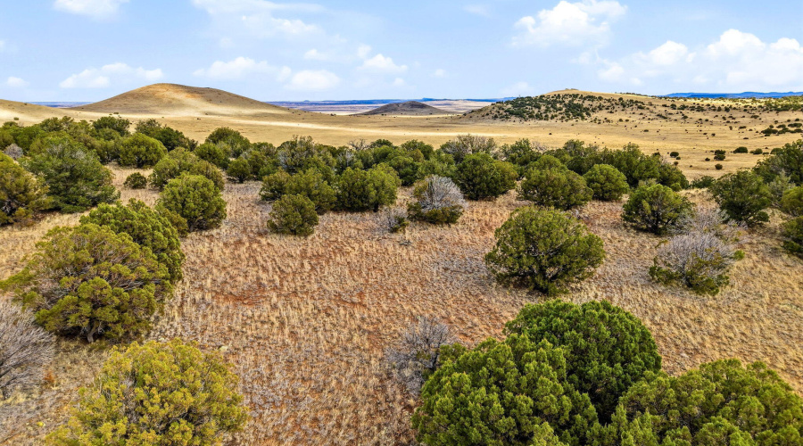 CheneyLake-GreerAZ-16