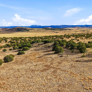 CheneyLake-GreerAZ-3