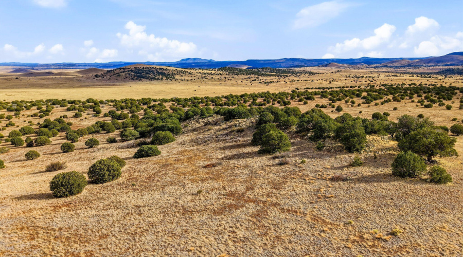 CheneyLake-GreerAZ-3