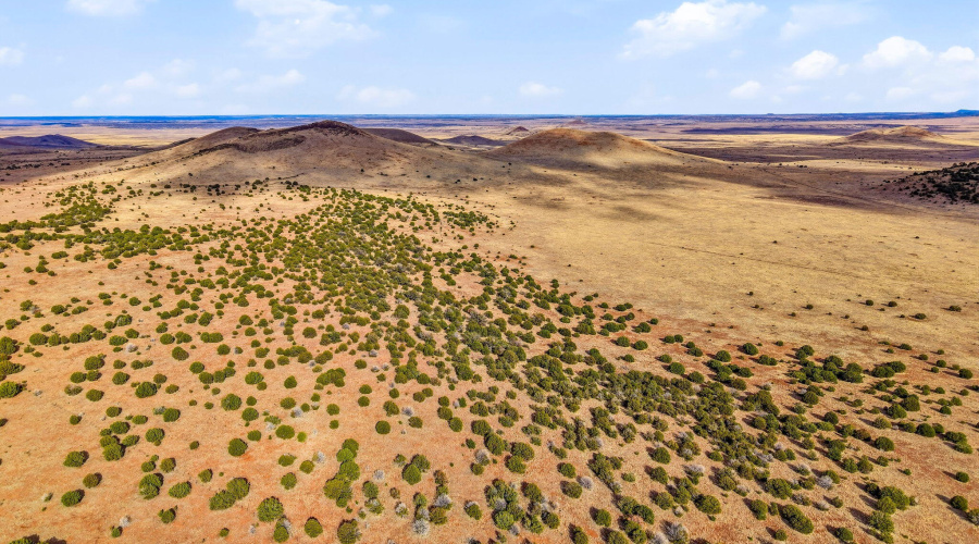 CheneyLake-GreerAZ-1