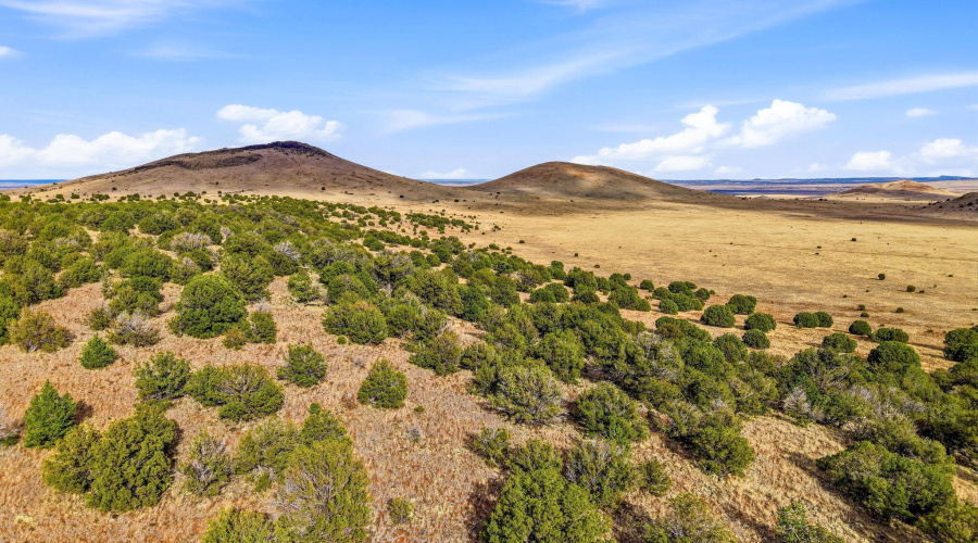 CheneyLake-GreerAZ-2