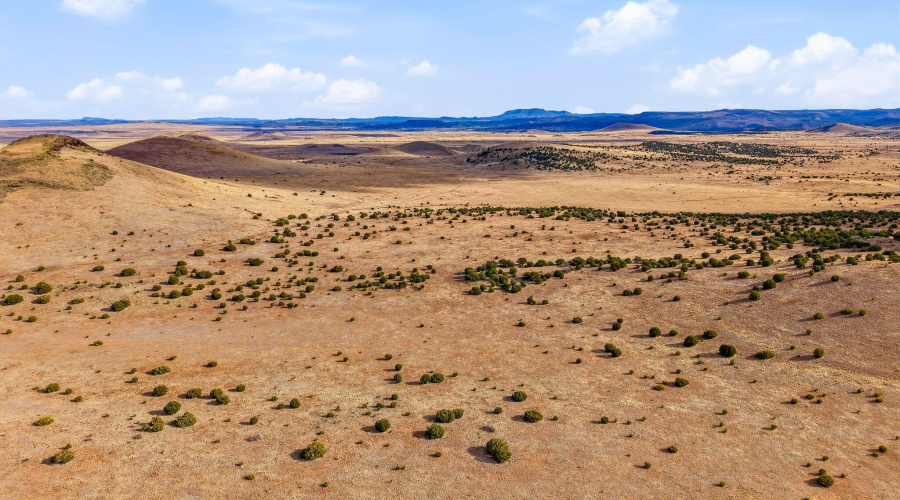 CheneyLake-GreerAZ-4