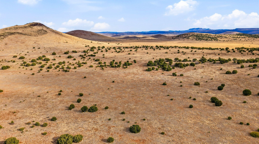 CheneyLake-GreerAZ-5