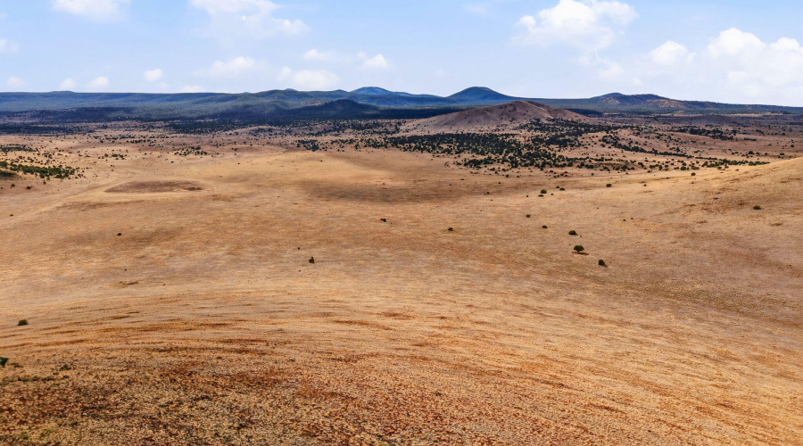 CheneyLake-GreerAZ-9