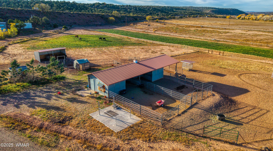 055_photo_55_2225_sr77_sl_85901_jennifer