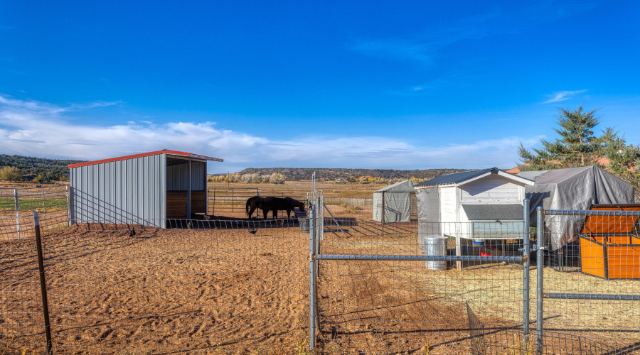 050_photo_50_2225_sr77_sl_85901_jennifer