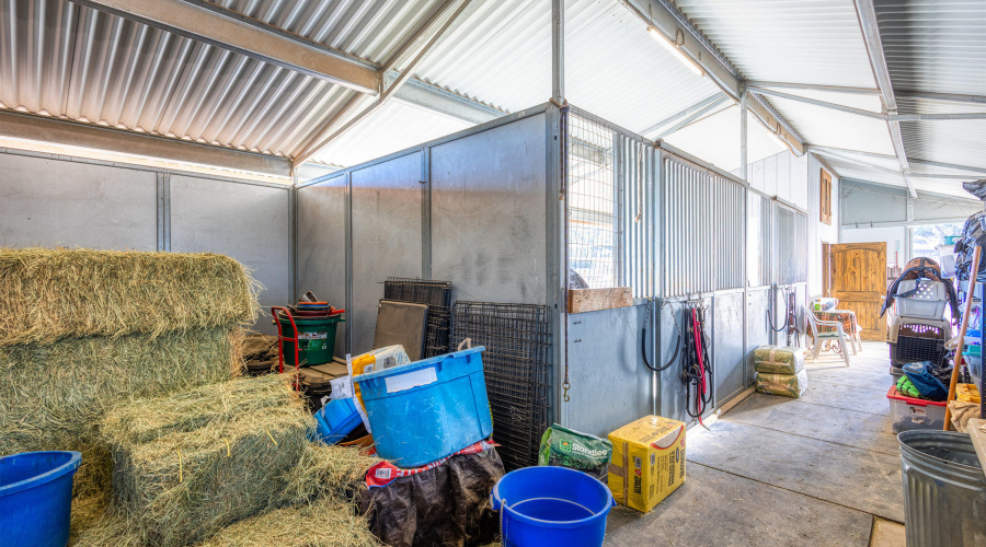 065_photo_65_2225_sr77_sl_85901_jennifer