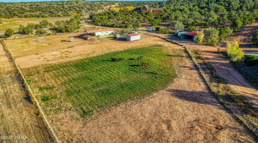 056_photo_56_2225_sr77_sl_85901_jennifer