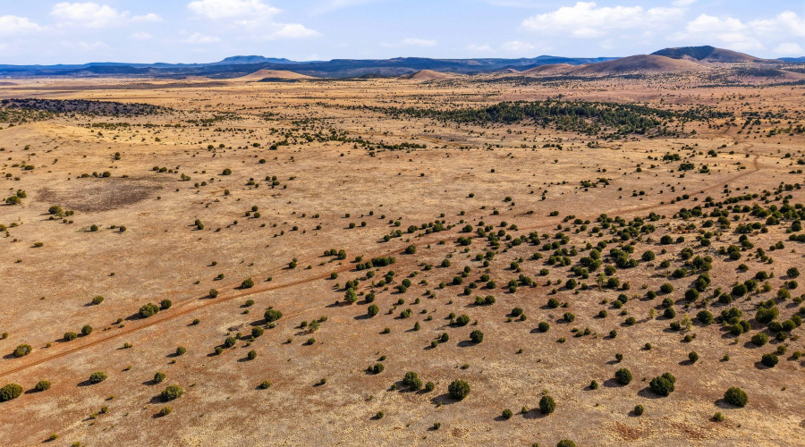 SchusterSprings-GreerAZ-12