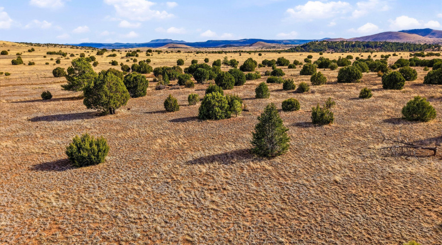 SchusterSprings-GreerAZ-13