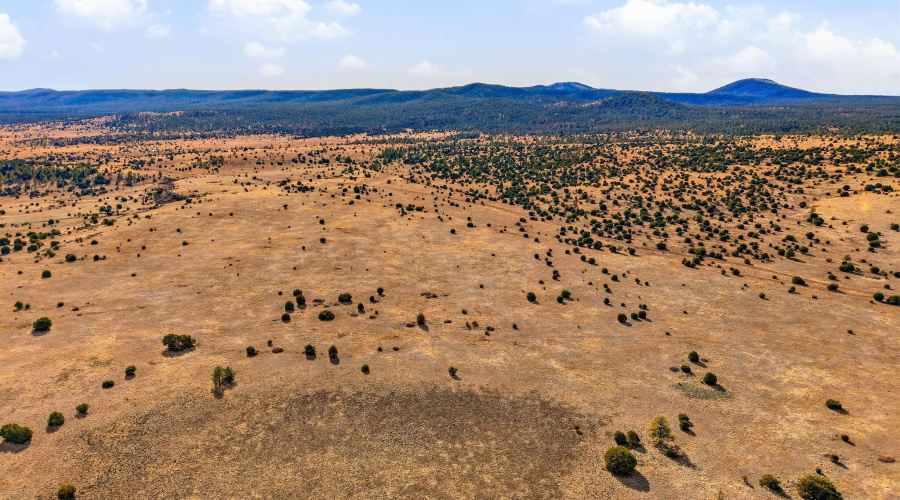 SchusterSprings-GreerAZ-14