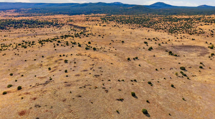 SchusterSprings-GreerAZ-16