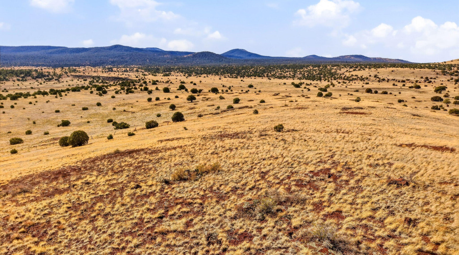 SchusterSprings-GreerAZ-17