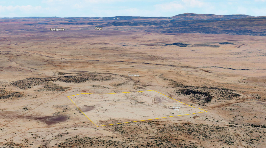 SchusterSprings-GreerAZ-ParcelLines-2