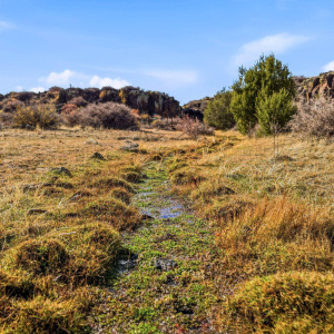 SchusterSprings-GreerAZ-1