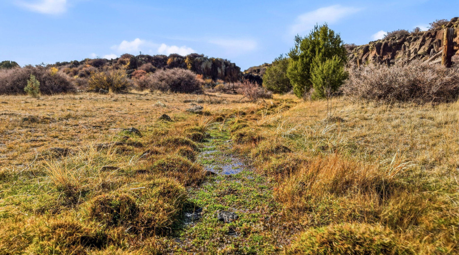 SchusterSprings-GreerAZ-1