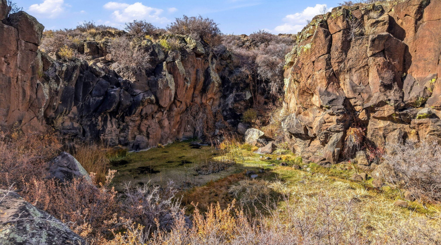 SchusterSprings-GreerAZ-2