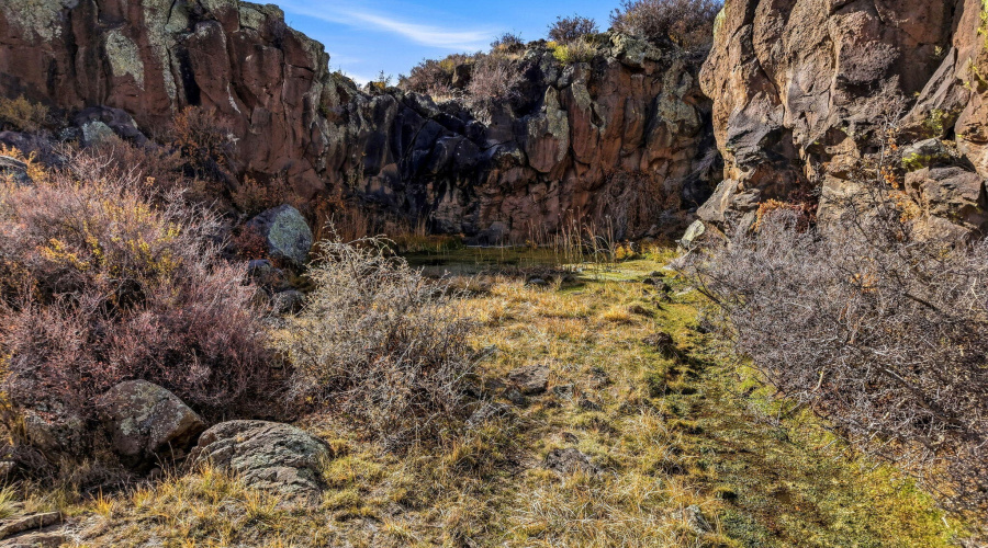 SchusterSprings-GreerAZ-3