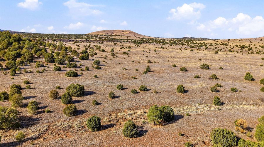 SchusterSprings-GreerAZ-7