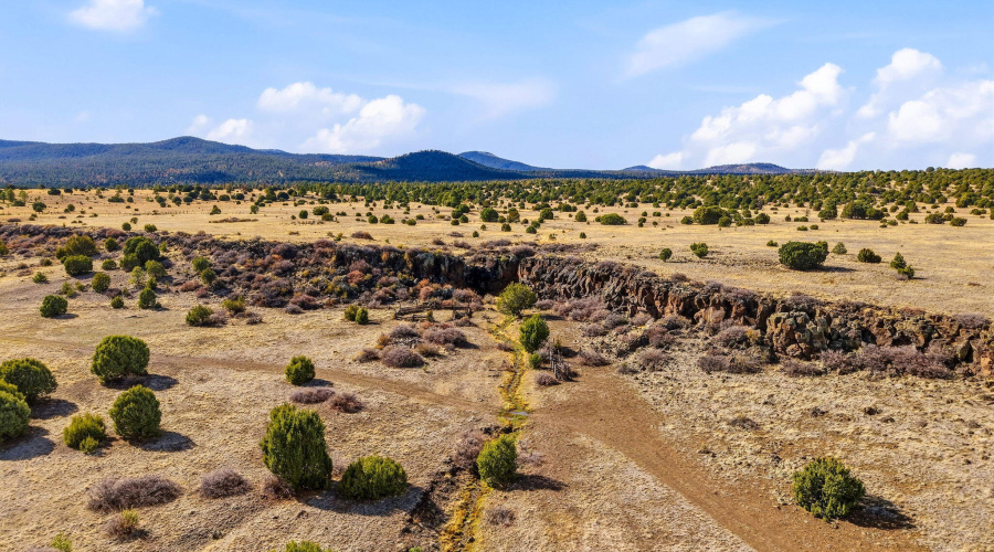 SchusterSprings-GreerAZ-9