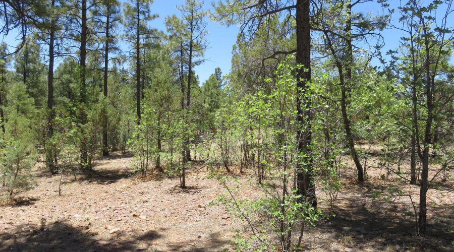 20180531202205596664000000-o - Copy - Co