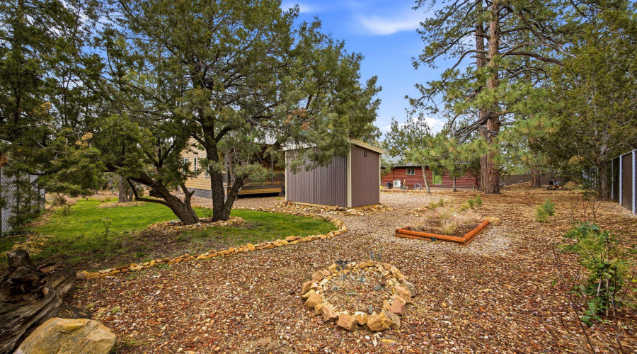 1979ChristmasPineCircle-HeberOvergaard-A