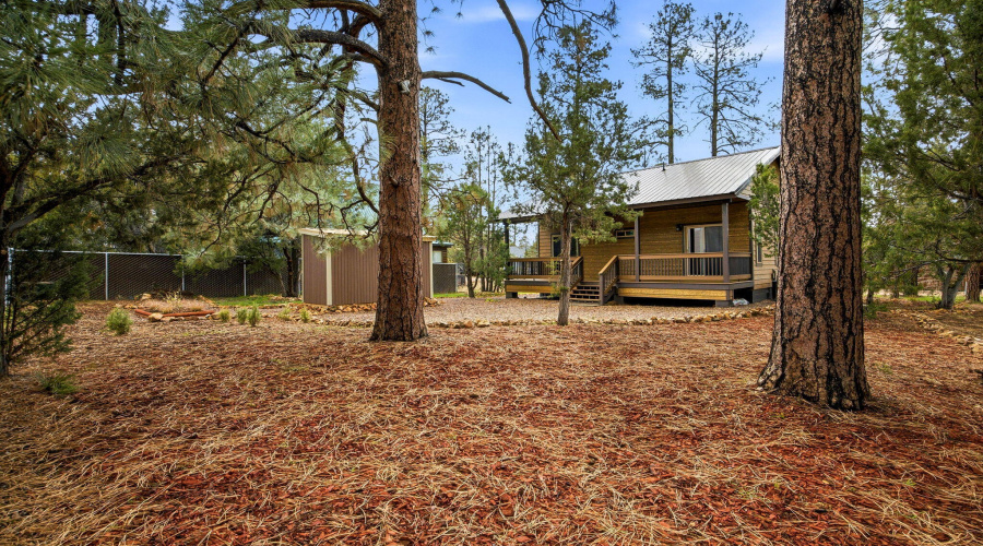 1979ChristmasPineCircle-HeberOvergaard-A