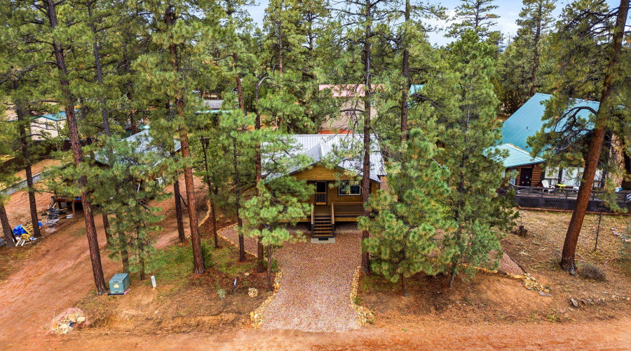 1979ChristmasPineCircle-HeberOvergaard-A