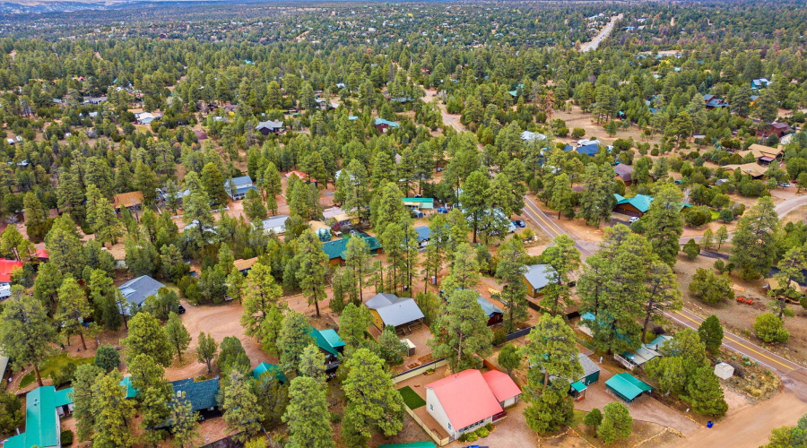 1979ChristmasPineCircle-HeberOvergaard-A