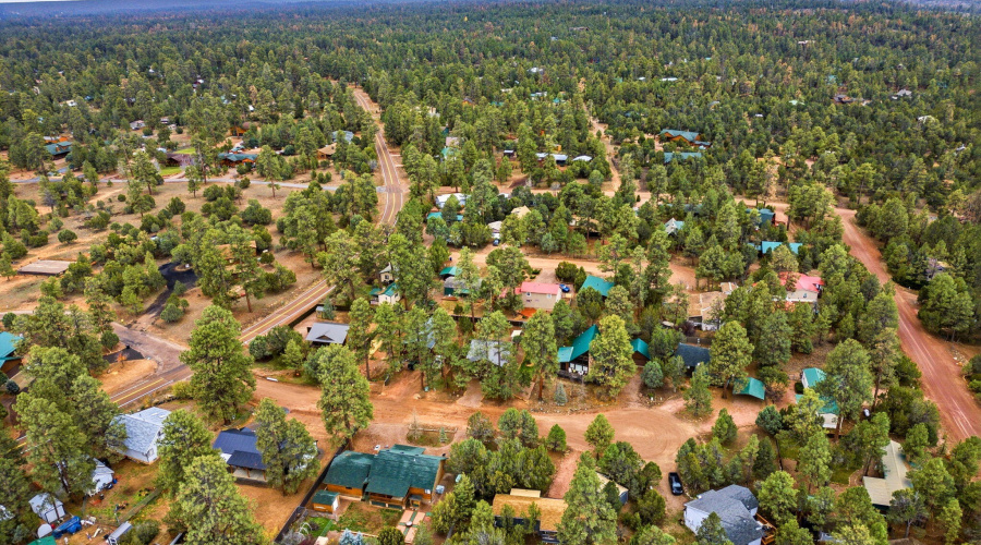 1979ChristmasPineCircle-HeberOvergaard-A