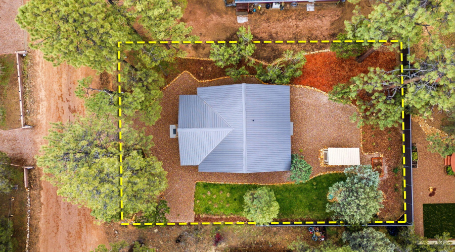 1979ChristmasPineCircle-HeberOvergaard-A