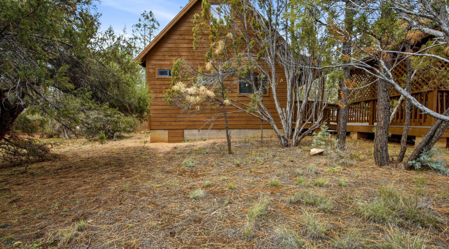 2755FoxTrail-HeberOvergaard-AZ-25