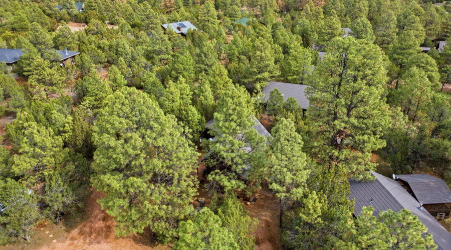 2755FoxTrail-HeberOvergaard-AZ-26