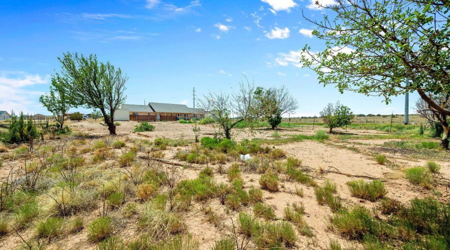 3190WestJasmineLane-Snowflake-AZ-29