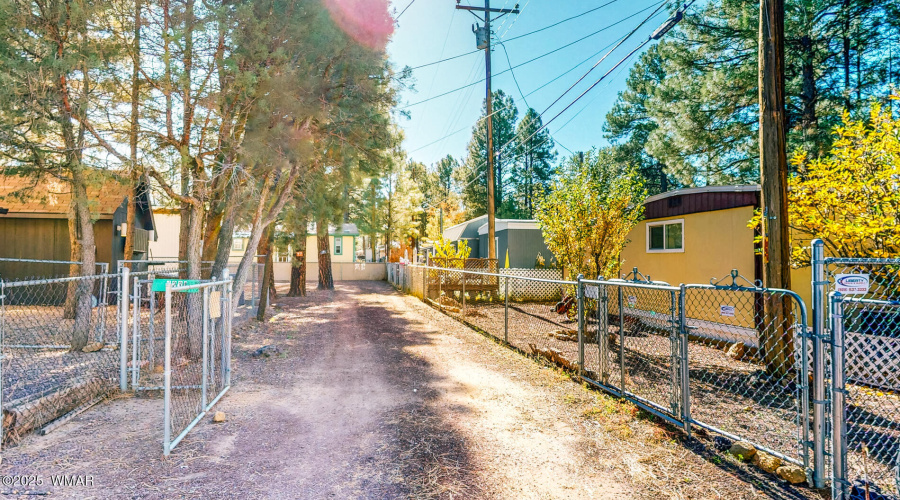 4231-W-Willis-11142025_133056