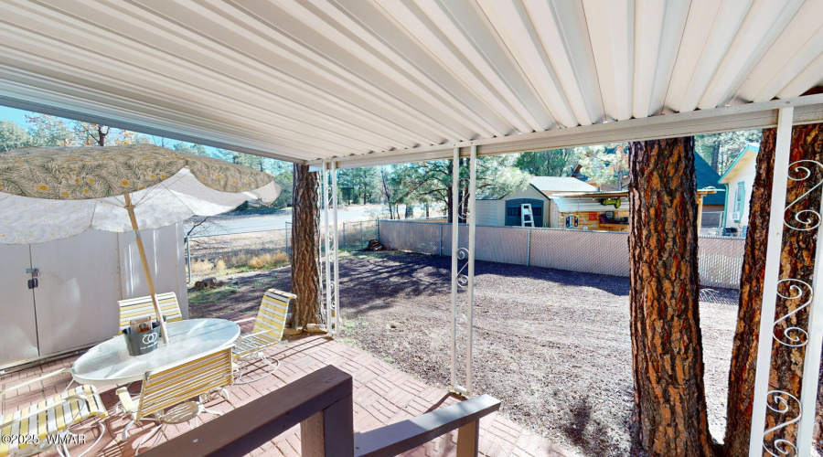 4231-W-Willis-11142025_132519