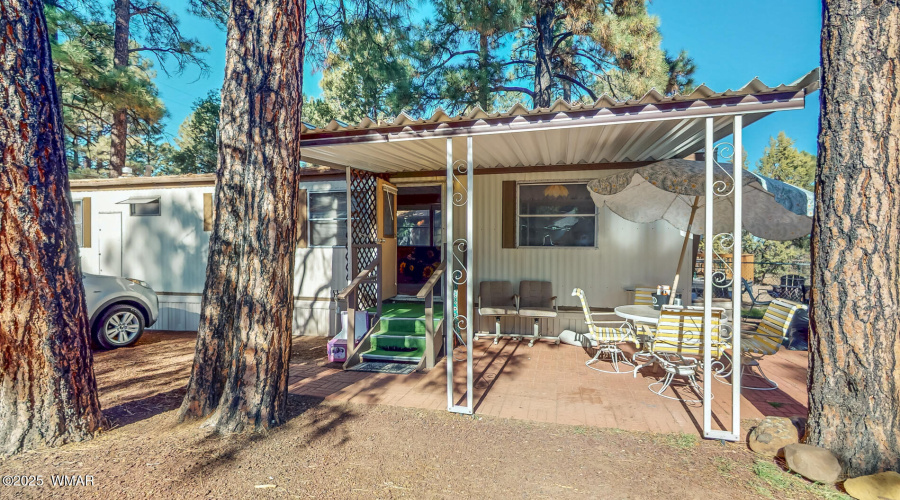 4231-W-Willis-11142025_132746